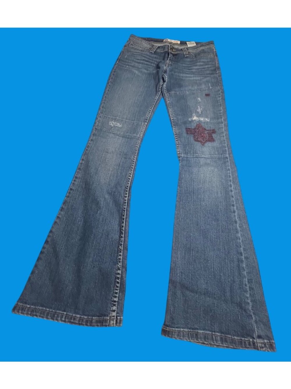 Levis Demi Curve Distressed Embroidered Flare Low Rise Jeans 9 Juniors Y2K style